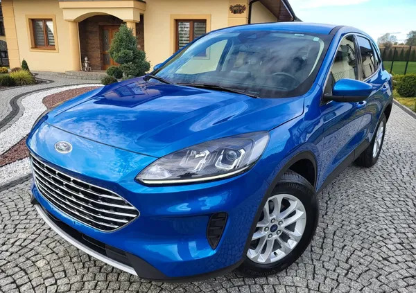 ford małopolskie Ford Kuga cena 81900 przebieg: 23000, rok produkcji 2021 z Tarnów